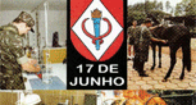 Revista CFMV - Edição 09