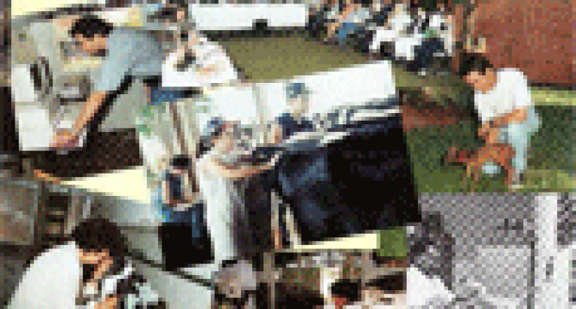 Revista CFMV - Edição 13
