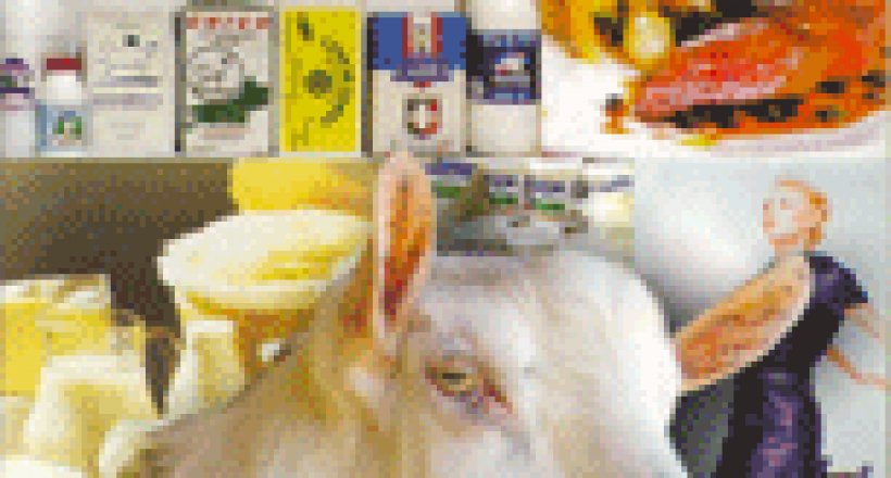 Revista CFMV - Edição 39