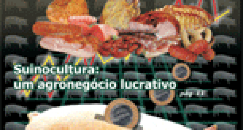 Revista CFMV - Edição 42