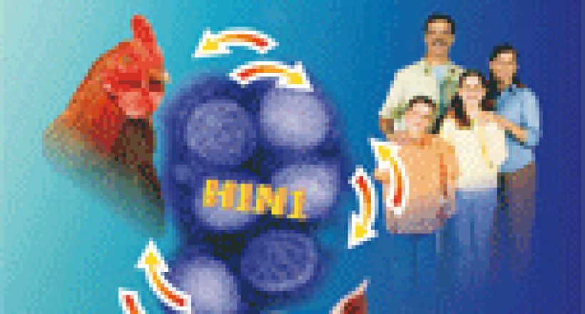 Revista CFMV - Edição 46