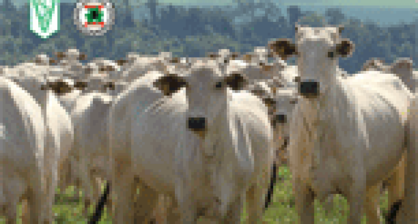Revista CFMV - Edição 51