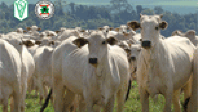 Revista CFMV - Edição 51