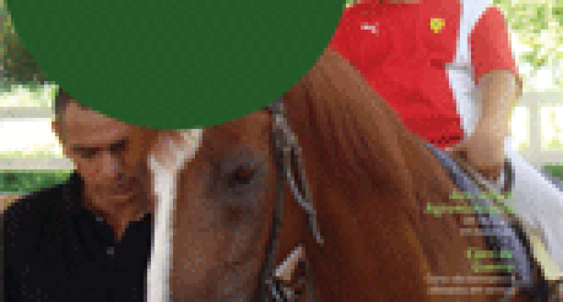 Revista CFMV - Edição 61