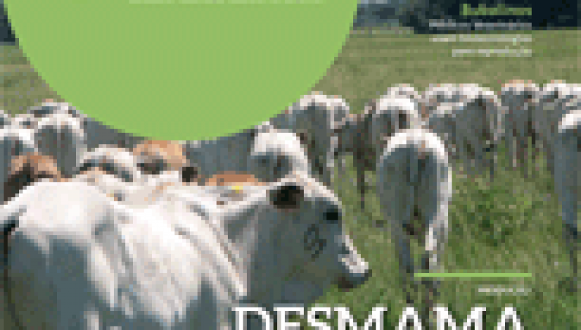 Revista CFMV - Edição 63