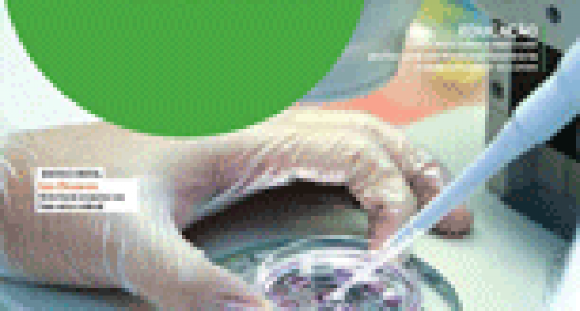 Revista CFMV - Edição 71