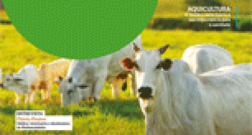 Revista CFMV - Edição 75
