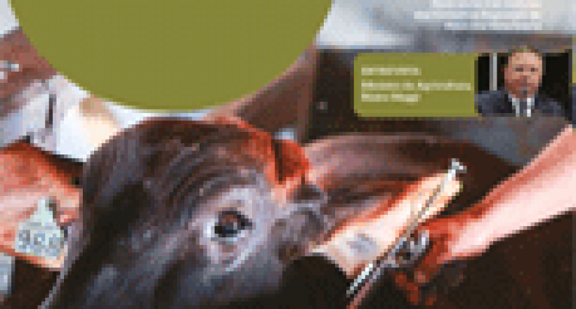 Revista CFMV - Edição 77