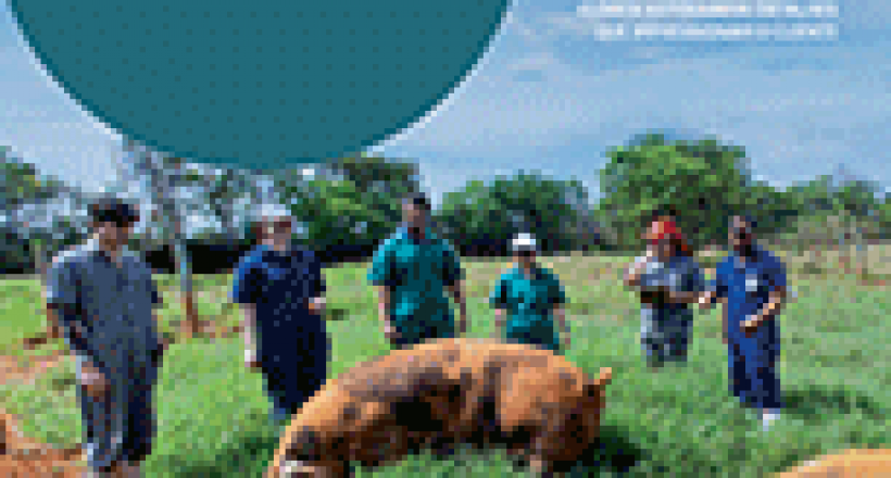Revista CFMV - Edição 82 - 2020