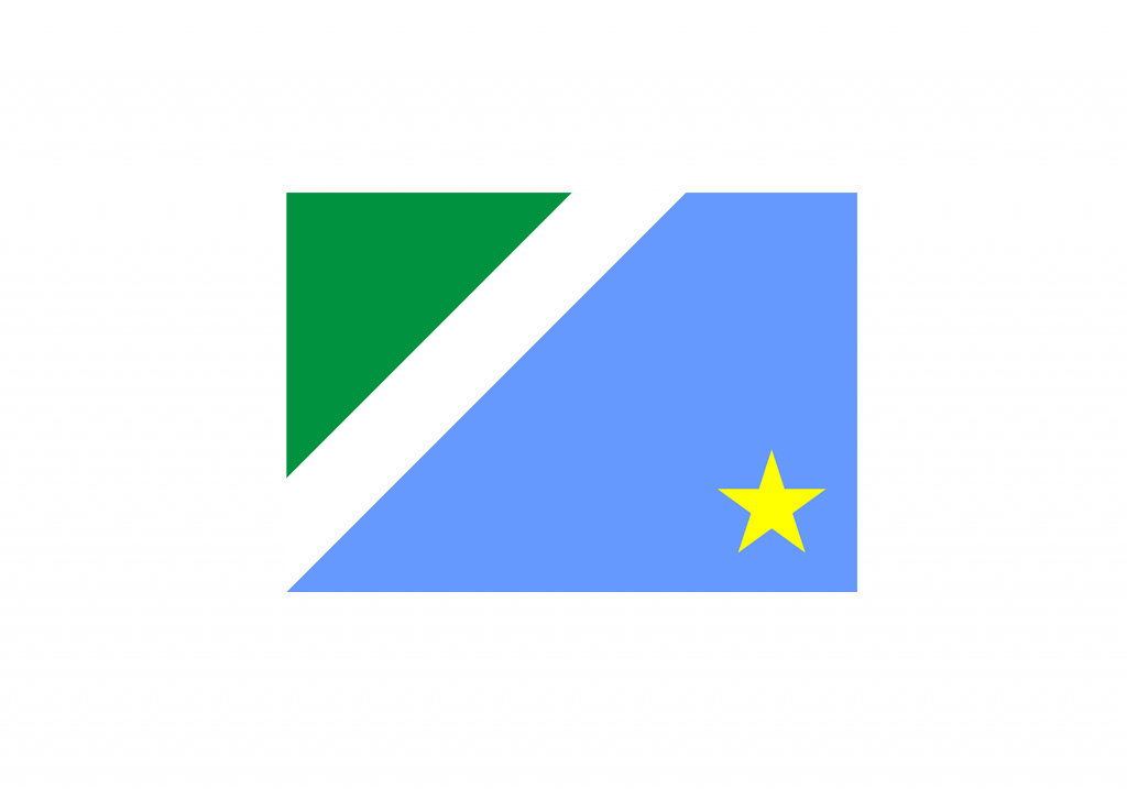 Bandeira do estado do Mato Grosso do Sul