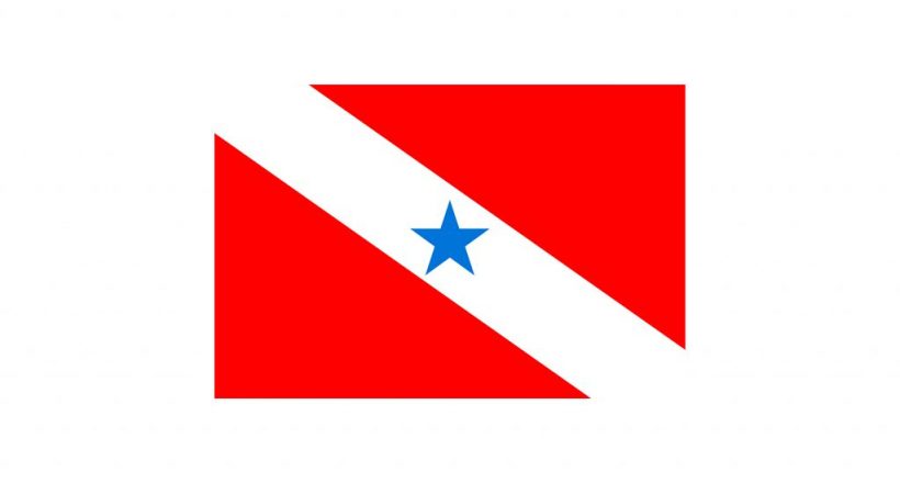 Bandeira do estado do Pará