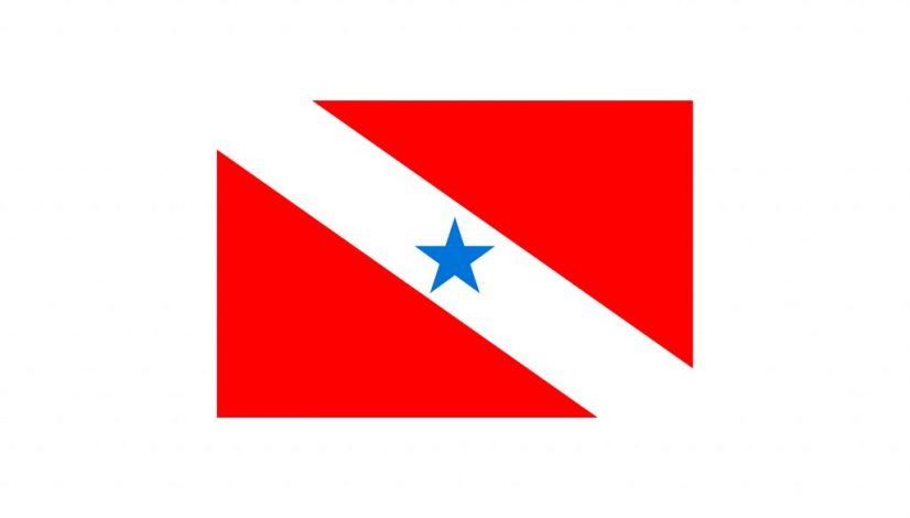 Bandeira do estado do Pará