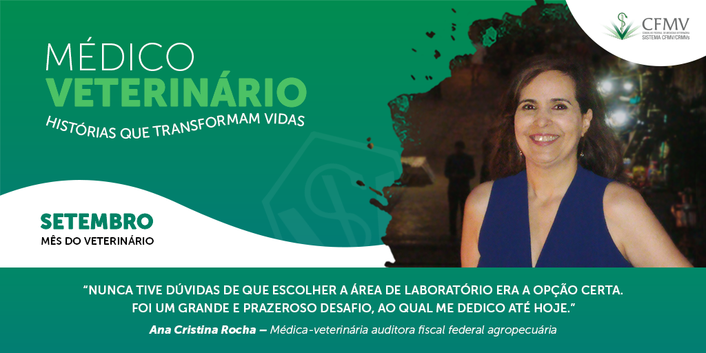 Case 04 - Ana Cristina Rocha