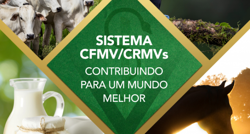 Folder Institucional - 50 anos do Sistema CFMV/CRMVs
