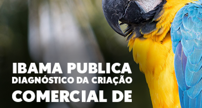 05022020_ibama publica diaginóstico da criação comercial de animais silvestris no brasil portal