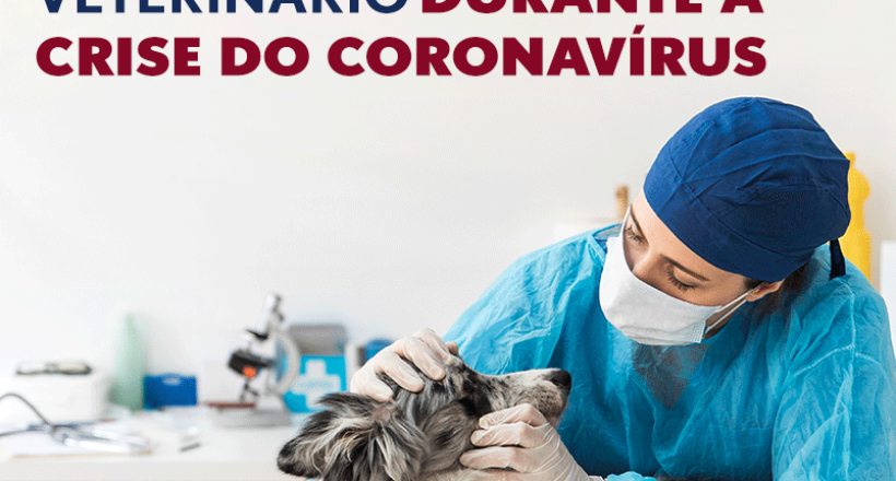 Recomendações do CFMV para o atendimento veterinário durante a crise do coronavírus