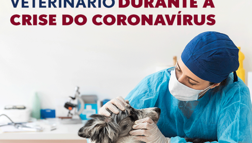 Recomendações do CFMV para o atendimento veterinário durante a crise do coronavírus