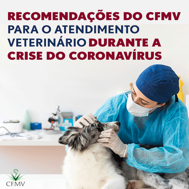 Recomendações do CFMV para o atendimento veterinário durante a crise do coronavírus