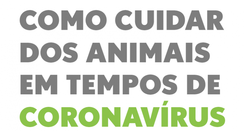 Como cuidar dos animais em tempos de coronavírus