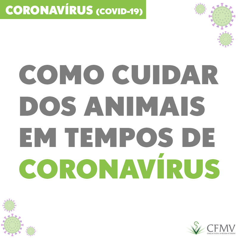 Como cuidar dos animais em tempos de coronavírus