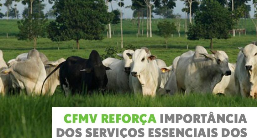 CFMV reforça importância dos serviços essenciais dos zootecnistas na produção animal