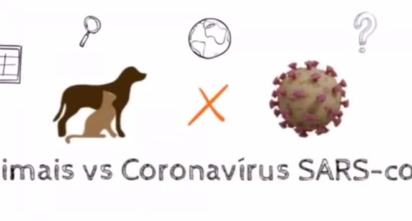 Campanha do CRMV-BA com UFBA combate o abandono de animais