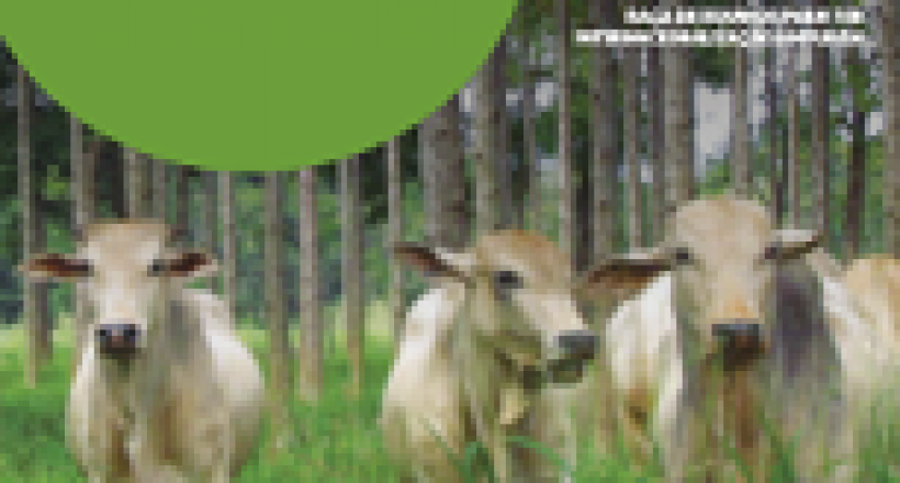 Revista CFMV – Edição 83 – 2020
