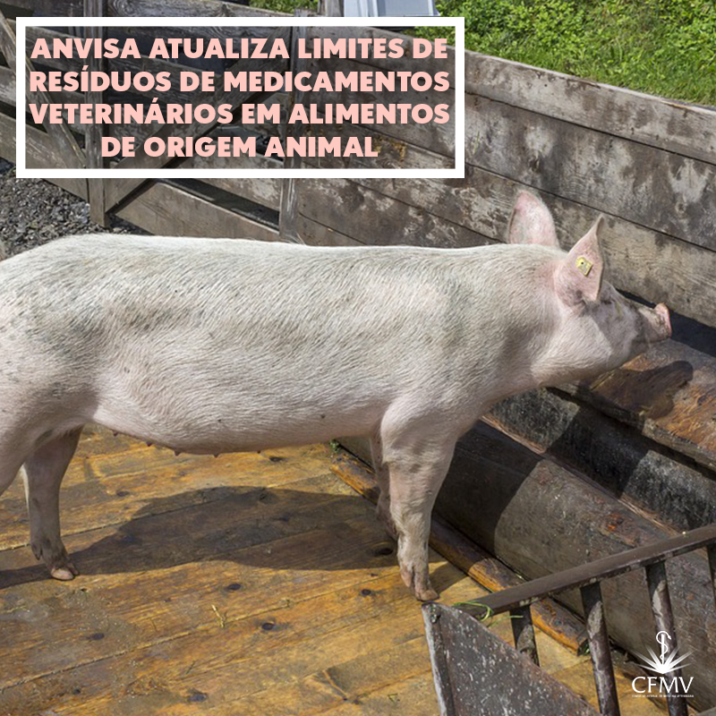 Anvisa atualiza limites de resíduos de medicamentos veterinários em alimentos de origem animal