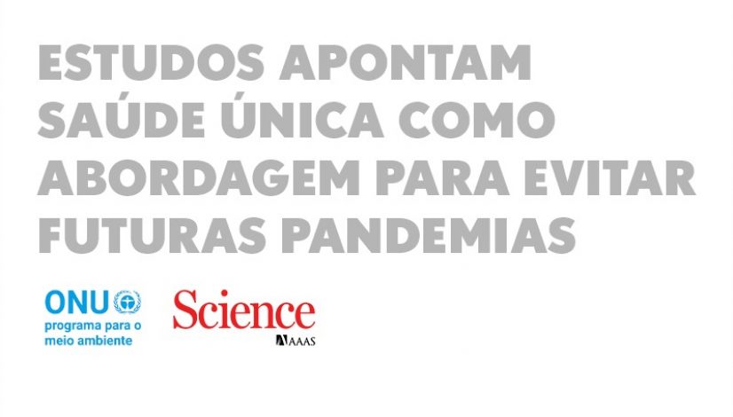 Estudos apontam Saúde Única como abordagem para evitar futuras pandemias