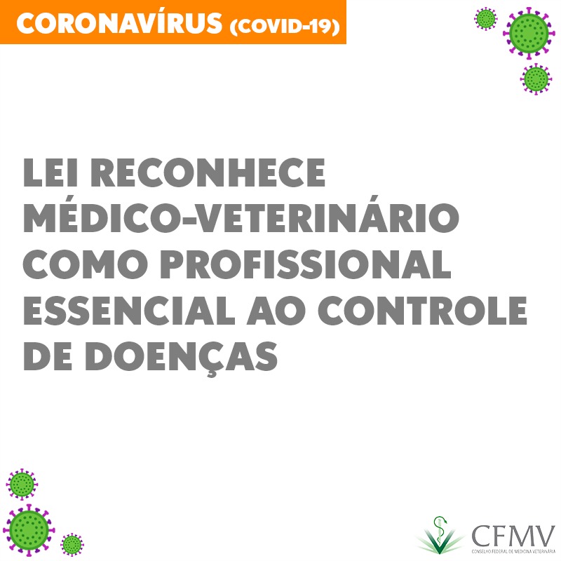 Lei reconhece médico-veterinário como profissional essencial ao controle de doenças