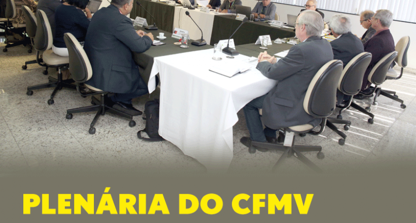 Plenária do CFMV aprova apoio financeiro a quatro conselhos regionais