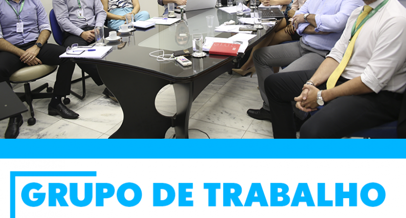 Grupo de Trabalho atualiza normas do CFMV