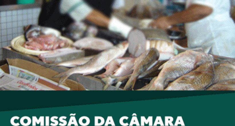 Comissão da Câmara aprova MP que prorroga contratos temporários de médicos-veterinários no Mapa