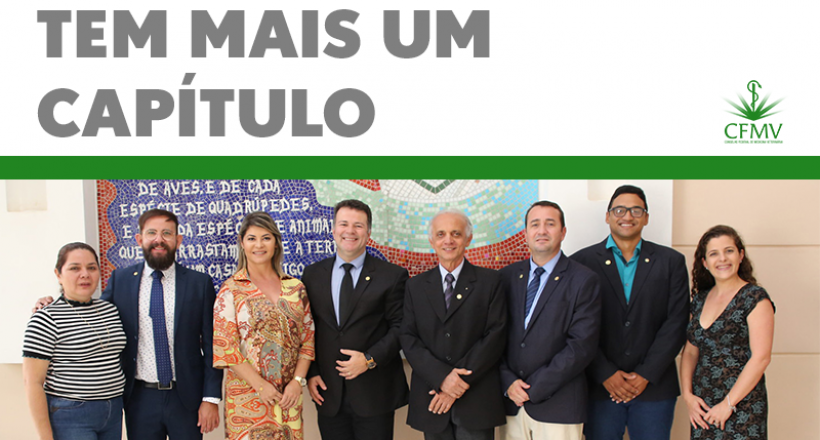Integração entre CFMV e CRMVs tem mais um capítulo