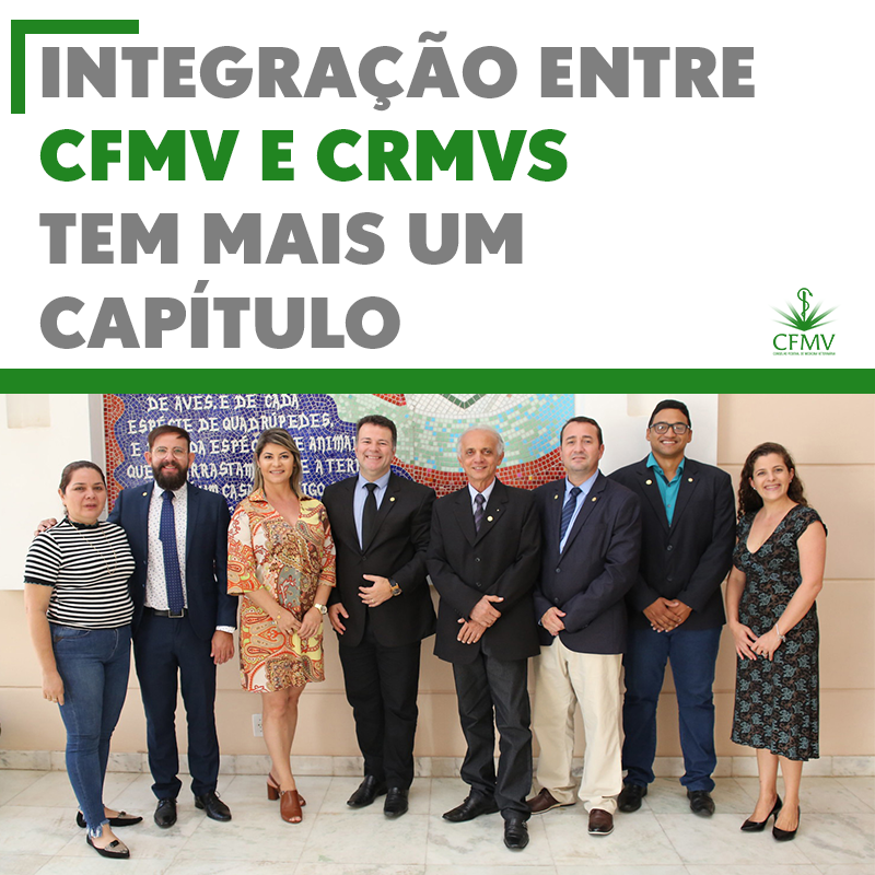 Integração entre CFMV e CRMVs tem mais um capítulo