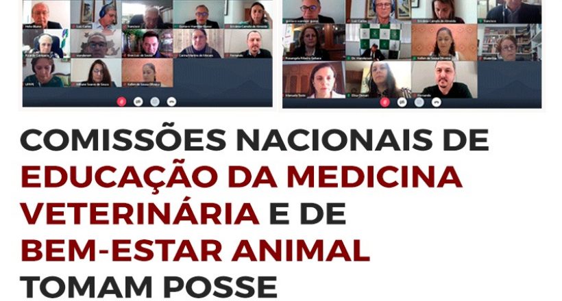 Comissões Nacionais de Educação da Medicina Veterinária e de Bem-Estar Animal tomam posse