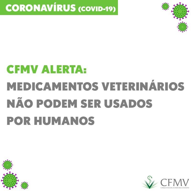 CFMV alerta: medicamentos veterinários não podem ser usados por humanos
