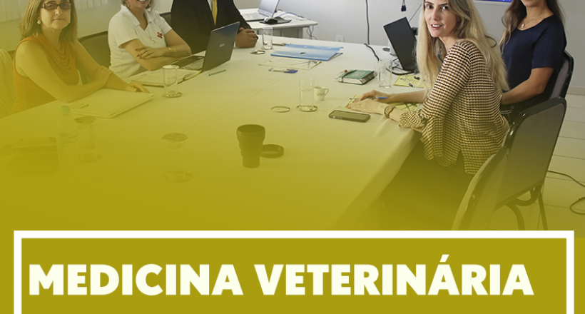 Medicina Veterinária Legal e GT de desastres reúnem-se no CFMV