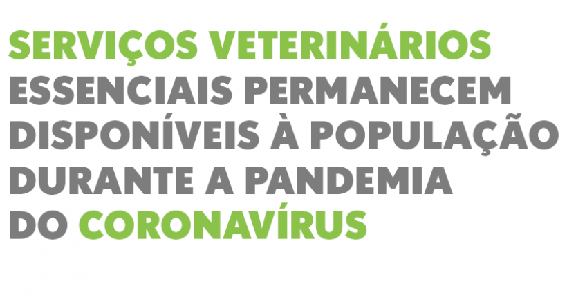 Serviços veterinários essenciais permanecem disponíveis à população durante a pandemia do coronavírus