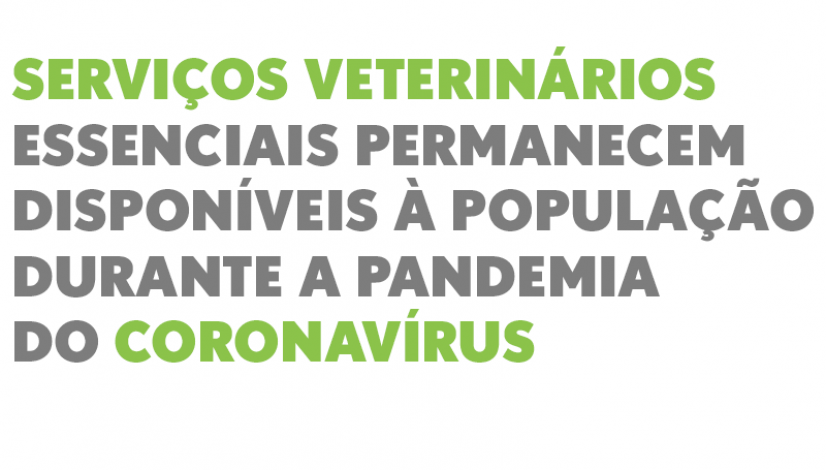 Serviços veterinários essenciais permanecem disponíveis à população durante a pandemia do coronavírus
