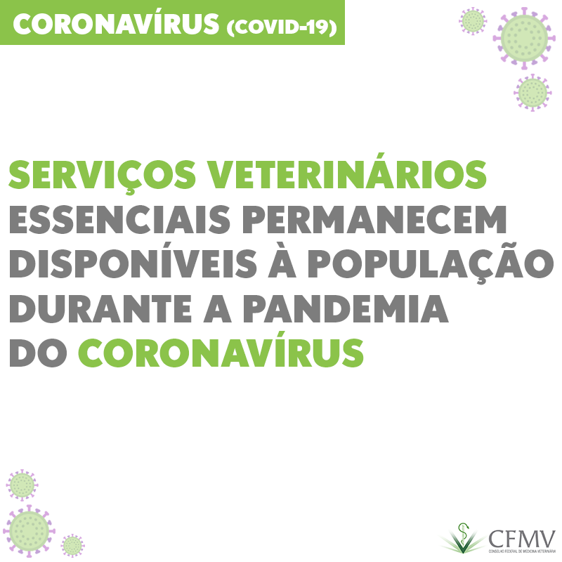 Serviços veterinários essenciais permanecem disponíveis à população durante a pandemia do coronavírus