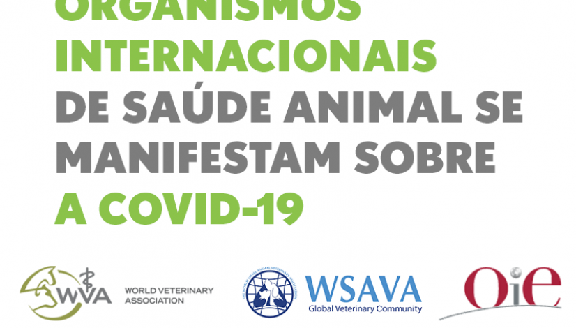 Organismos internacionais de saúde animal se manifestam sobre a Covid-19