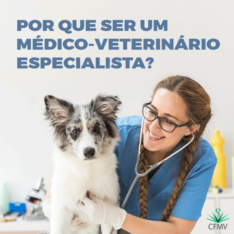 Por que ser um médico-veterinário especialista?