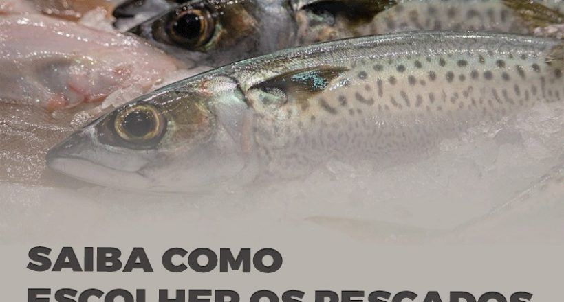 Saiba como escolher os pescados para a Semana Santa