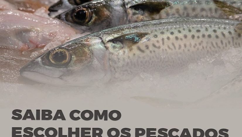 Saiba como escolher os pescados para a Semana Santa