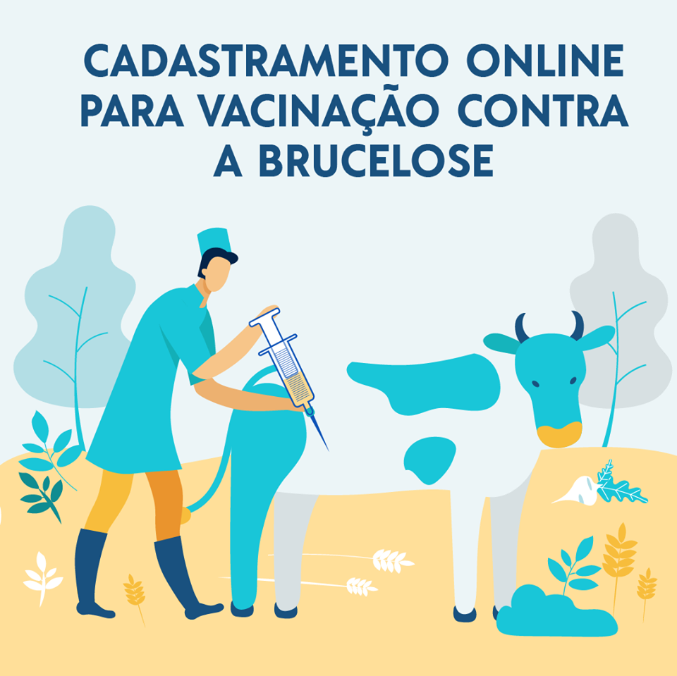 Vacinação contra brucelose já tem cadastramento on-line para médicos-veterinários