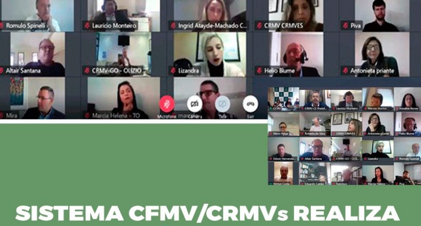 Sistema CFMV/CRMVs realiza sua primeira Câmara Nacional de Presidentes virtual