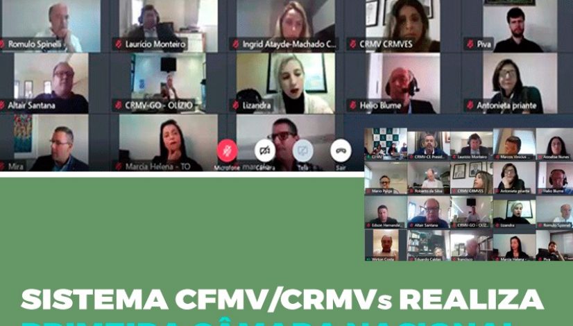 Sistema CFMV/CRMVs realiza sua primeira Câmara Nacional de Presidentes virtual