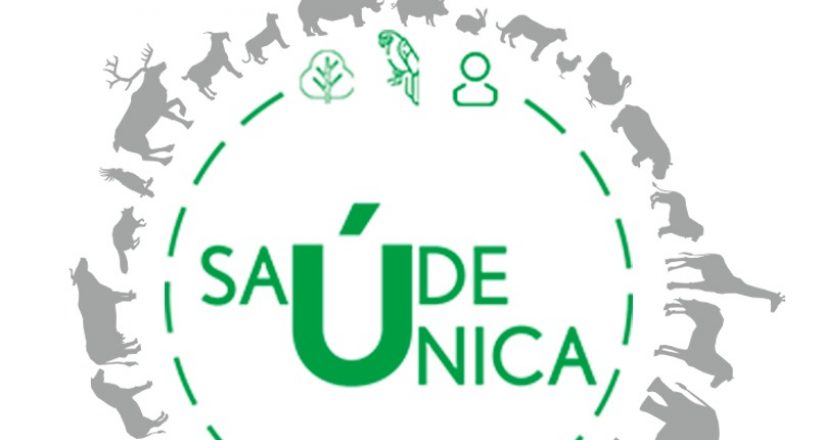 Dia Mundial da Medicina Veterinária