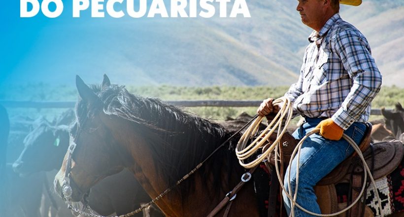 No Dia Nacional do Pecuarista, CFMV comemora crescimento econômico do setor